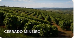 Cerrado Mineiro
